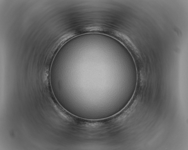 X0000112951225200909071108