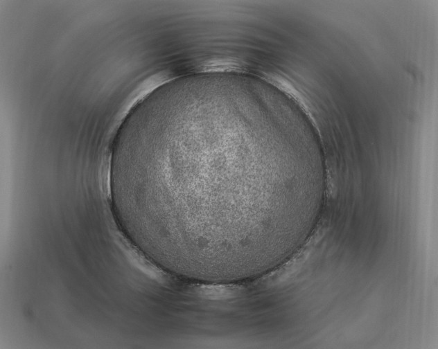 X0000112951227200909071108