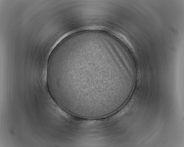 X0000112951228200909071108