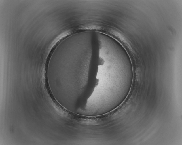 X0000112951229200909071108