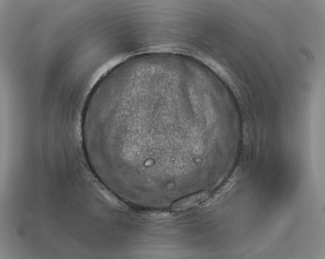 X0000112951230200909071108