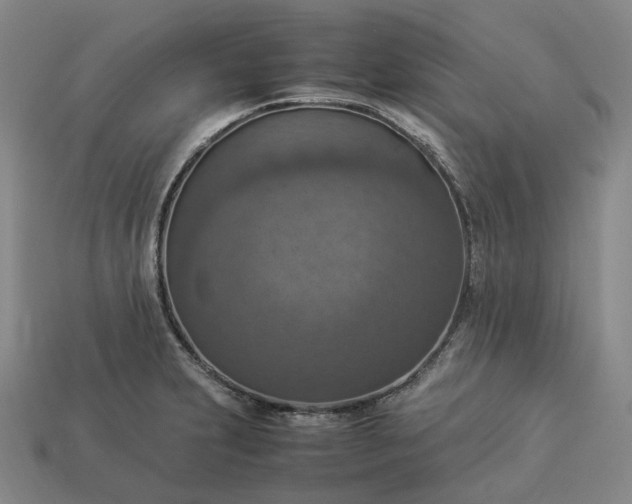 X0000112951231200909071108