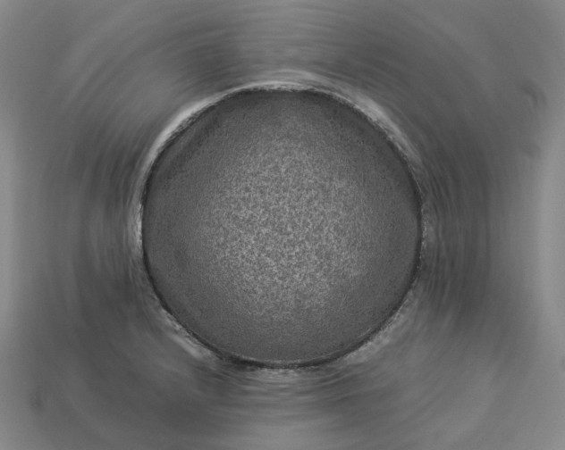 X0000112951232200909071108