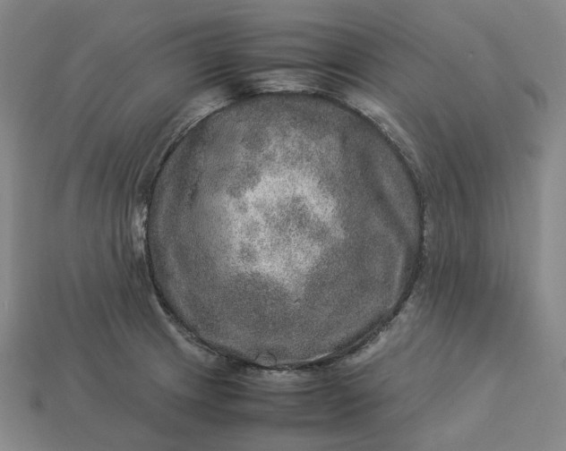 X0000112951233200909071108