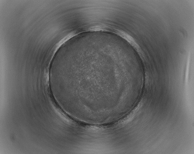 X0000112951234200909071108