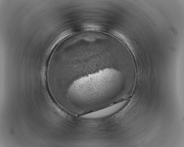 X0000112951235200909071109