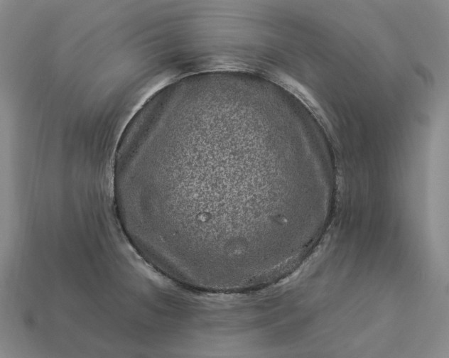 X0000112951236200909071109