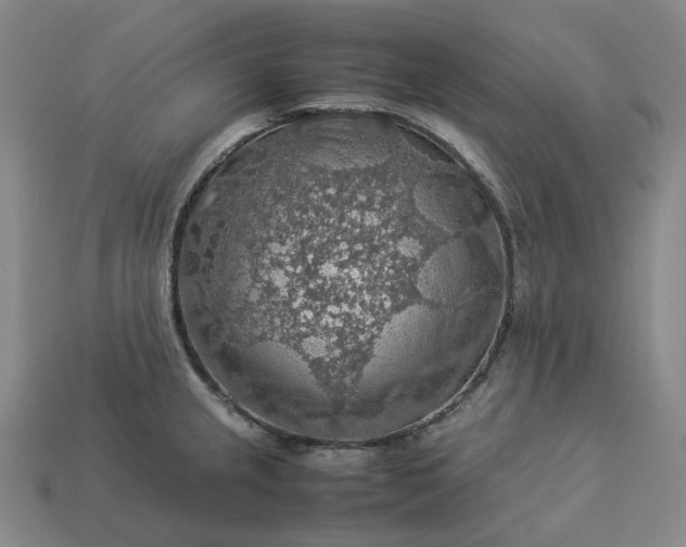 X0000112951237200909071109