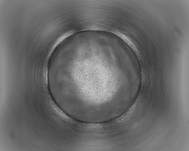 X0000112951238200909071109