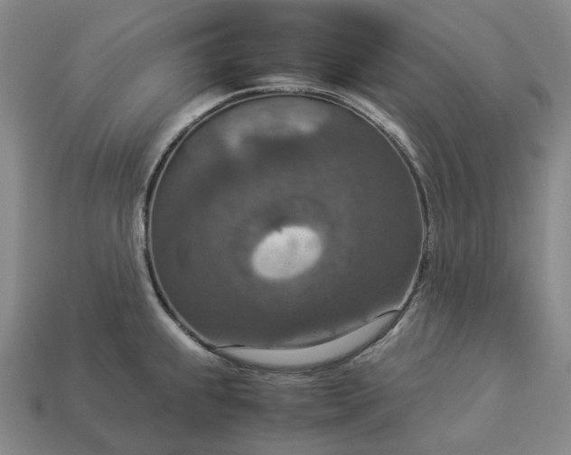 X0000112951239200909071109