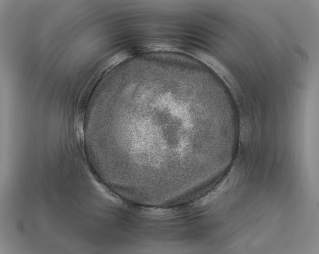 X0000112951241200909071109