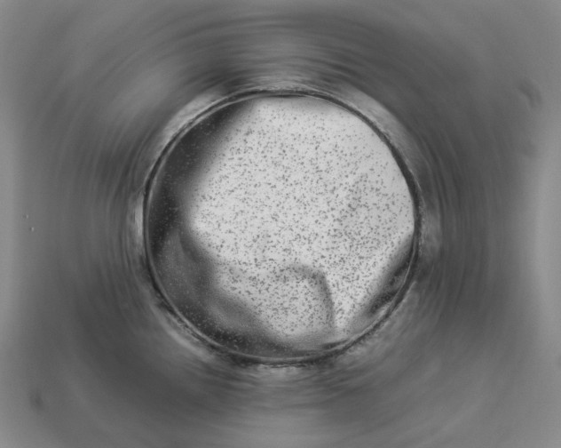 X0000112951242200909071109