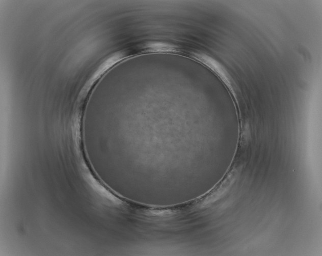 X0000112951243200909071109