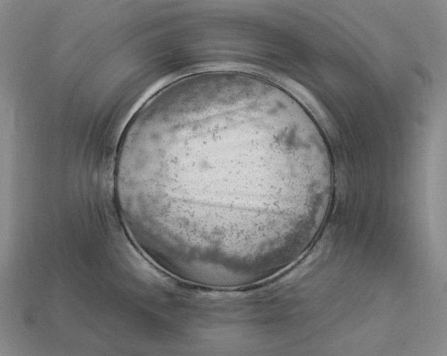 X0000112951244200909071109