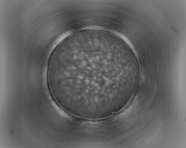 X0000112951245200909071109