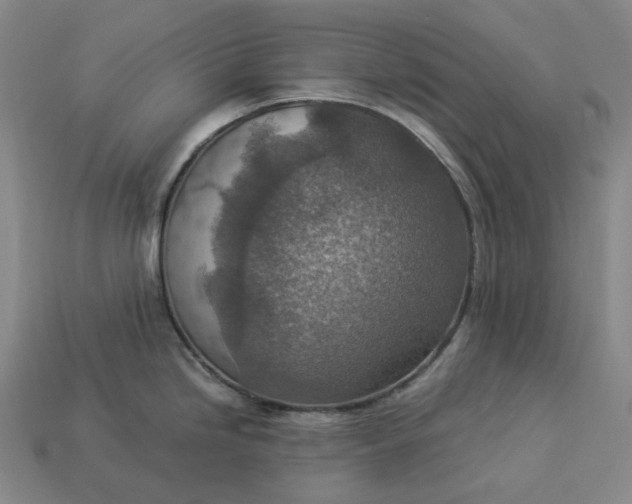 X0000112951246200909071109