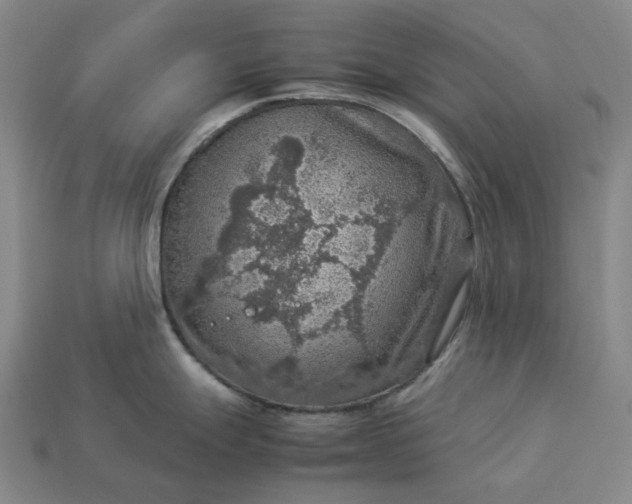 X0000112951247200909071109