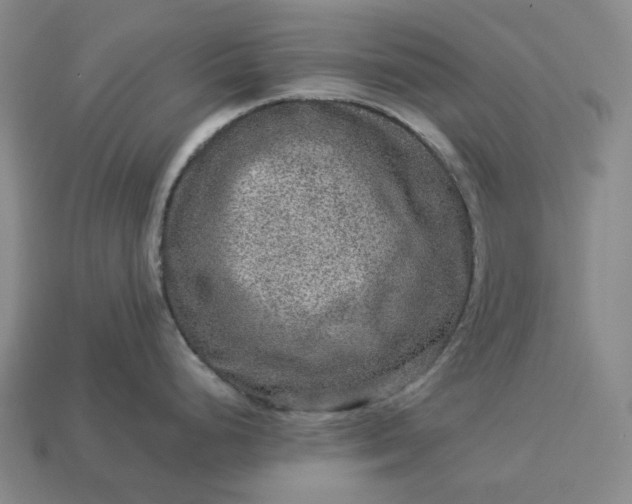 X0000112951248200909071109