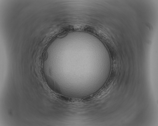 X0000112951249200909071108