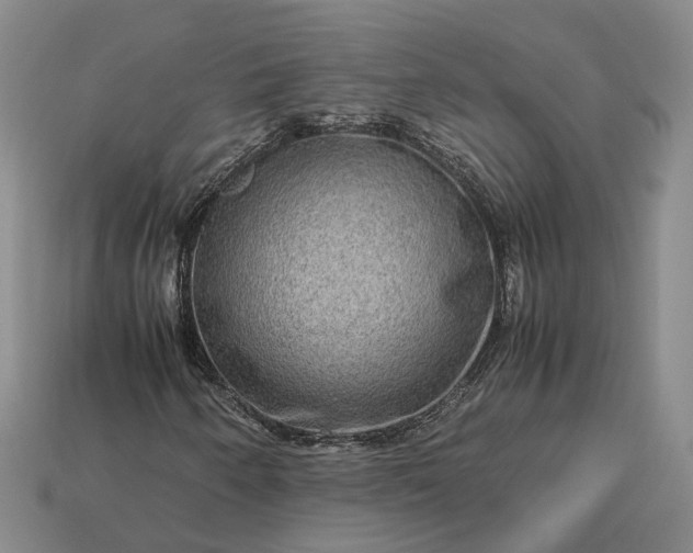 X0000112951250200909071108