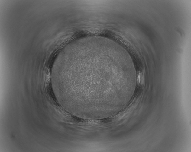 X0000112951251200909071108