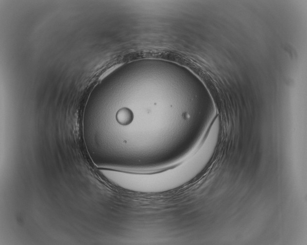 X0000112951252200909071108