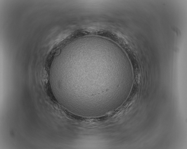 X0000112951253200909071108