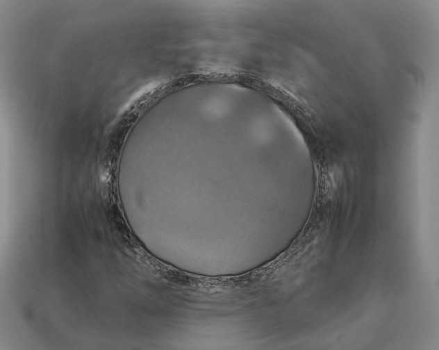 X0000112951254200909071108