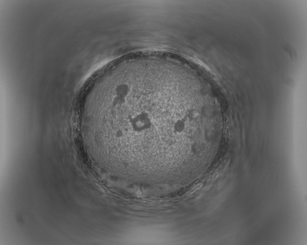 X0000112951255200909071108