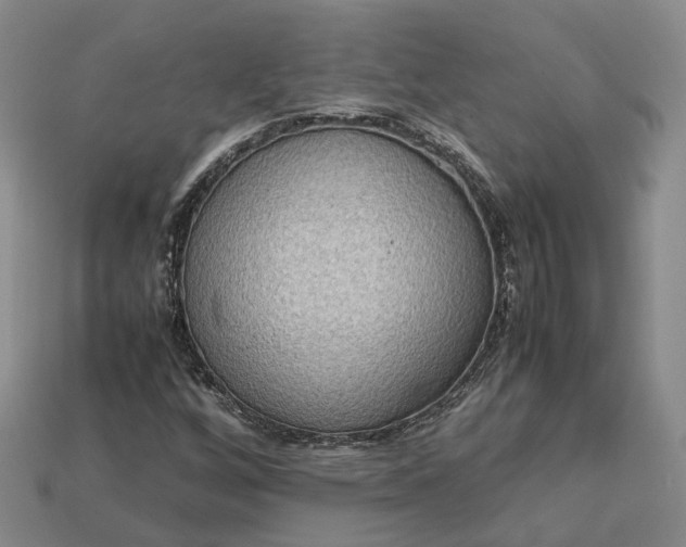 X0000112951256200909071108