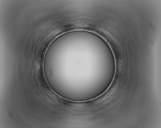 X0000112951257200909071108