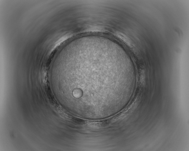 X0000112951258200909071108