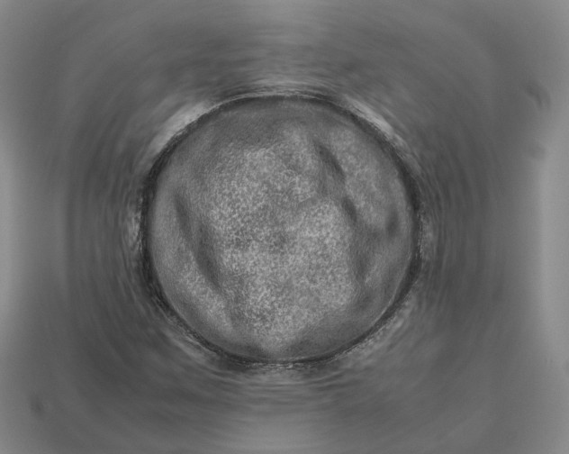 X0000112951259200909071108