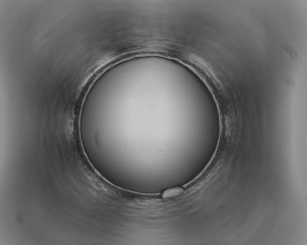 X0000112951260200909071108