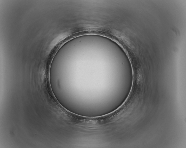 X0000112951261200909071108