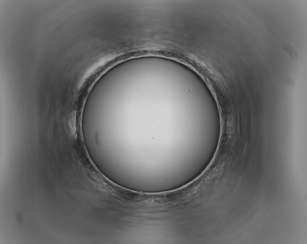 X0000112951262200909071108