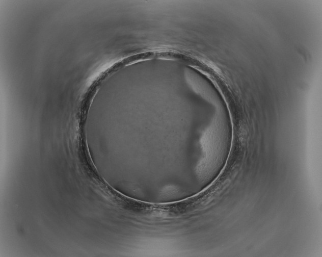 X0000112951263200909071108