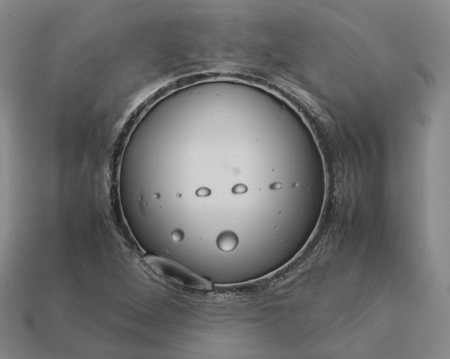 X0000112951264200909071108