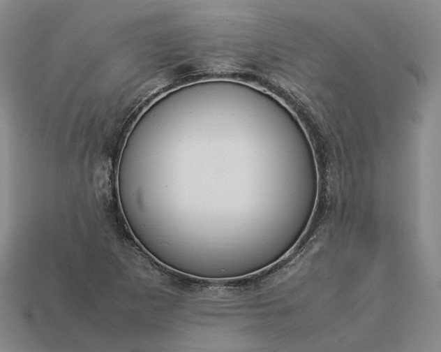 X0000112951265200909071108