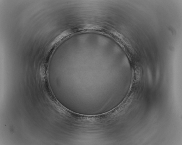 X0000112951266200909071108