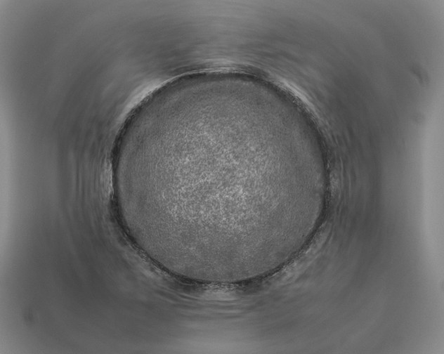 X0000112951267200909071108