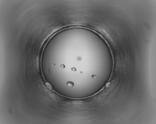 X0000112951268200909071108