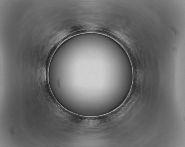 X0000112951269200909071108