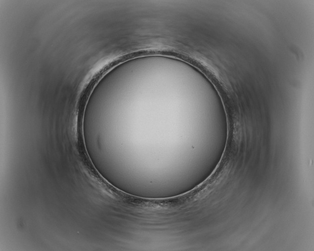 X0000112951270200909071108