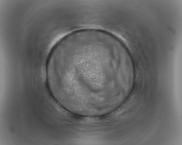 X0000112951271200909071108