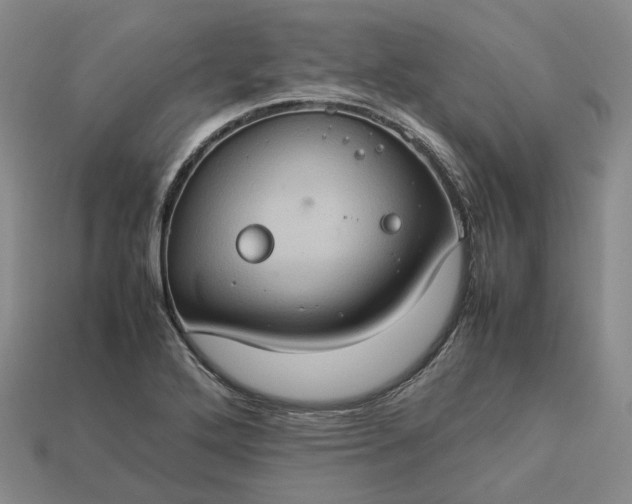 X0000112951272200909071108