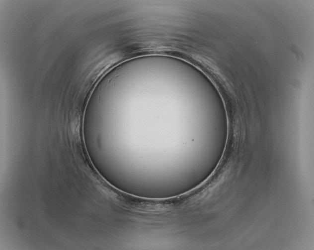 X0000112951273200909071108