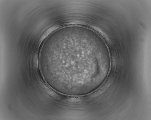 X0000112951274200909071108