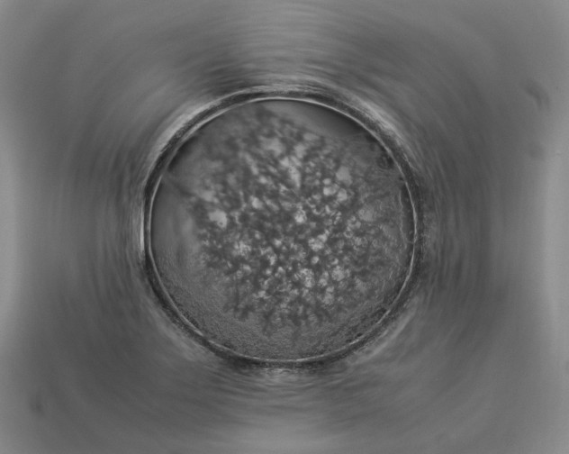 X0000112951275200909071108