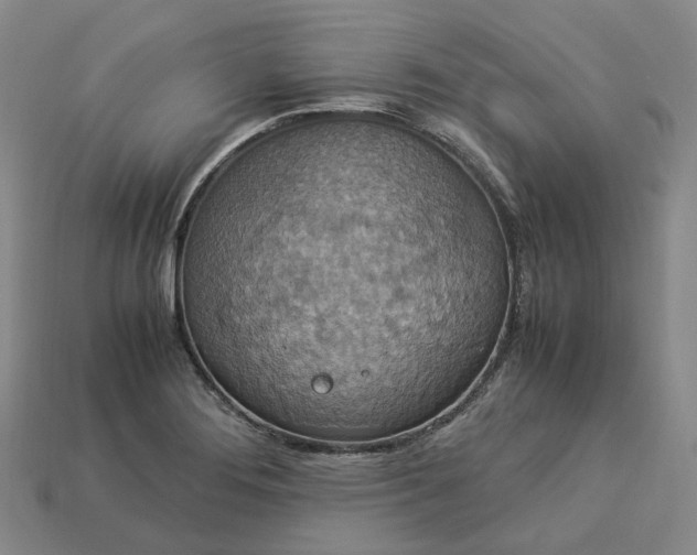 X0000112951276200909071108